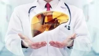 保护肝脏你需要知道这些知识点,怎样在日常生活中保护肝脏健康