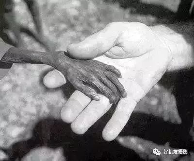 绘画是加法摄影是减法,为什么摄影是一门减法艺术