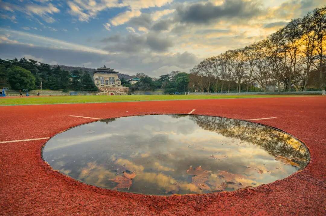 武汉大学今年在河南的录取多少人,武汉大学2019河南招生计划