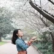 武汉大学今年在河南的录取多少人,武汉大学2019河南招生计划