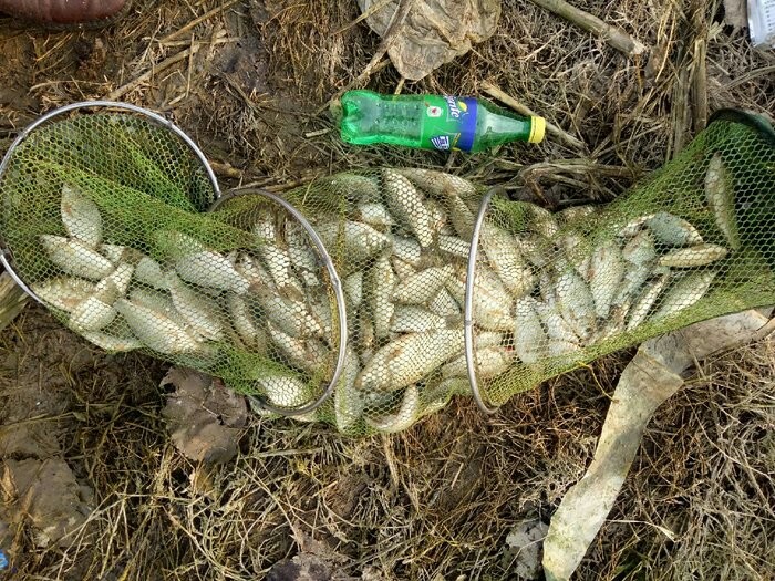 野钓入门装备清单大全,野钓买什么装备才算合格的钓友