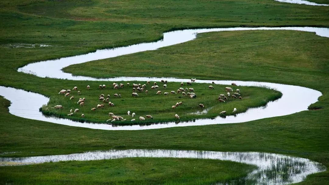 旅发大会沽源,张家口沽源旅发大会