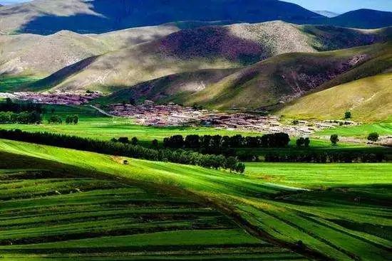 旅发大会沽源,张家口沽源旅发大会