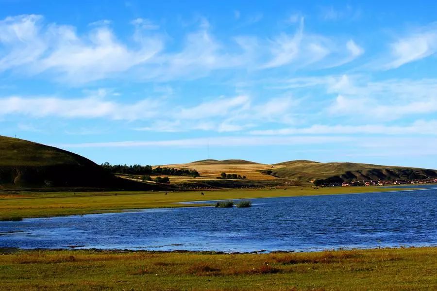 旅发大会沽源,张家口沽源旅发大会