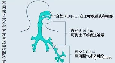 雾化吸入对肺的危害,小儿雾化吸入操作流程