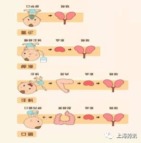 雾化吸入对肺的危害,小儿雾化吸入操作流程