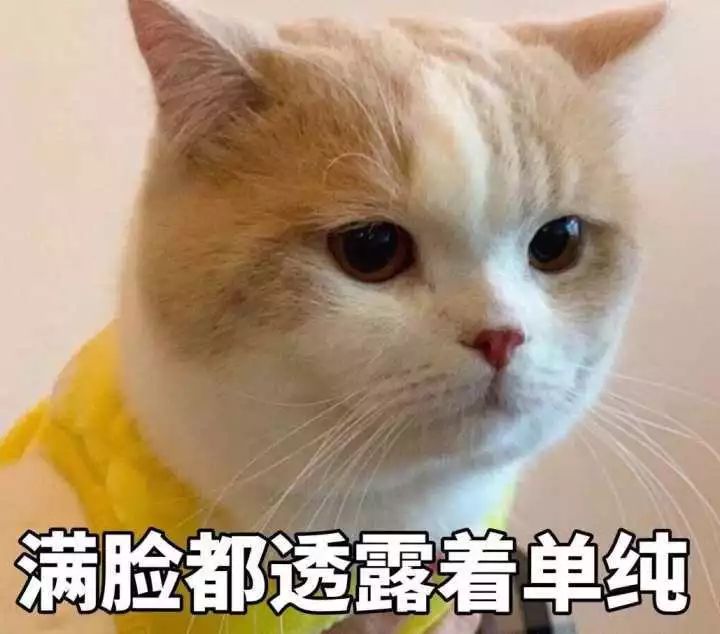 警方提醒网贷诈骗九种陷阱安全,紧急预警投资理财诈骗案件飙升