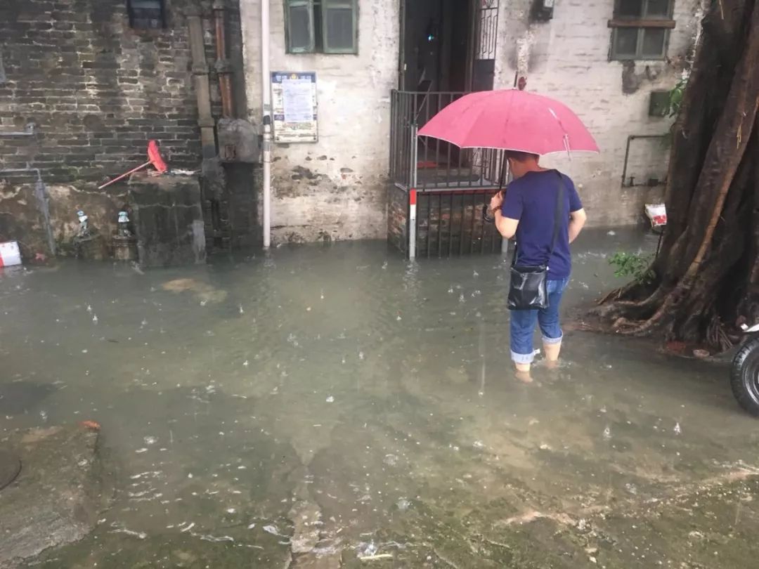 不再水浸、拐角见绿…藏在这里的旧时光与烟火气，更加绚丽