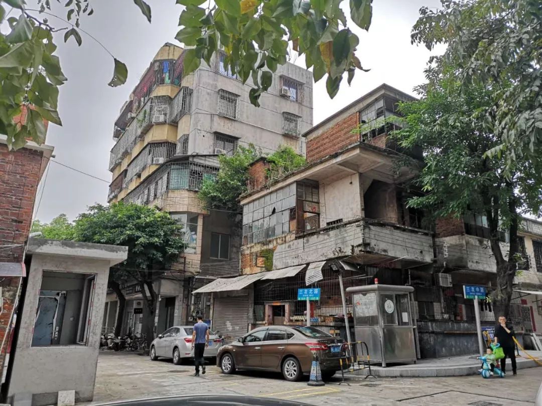 不再水浸、拐角见绿…藏在这里的旧时光与烟火气，更加绚丽