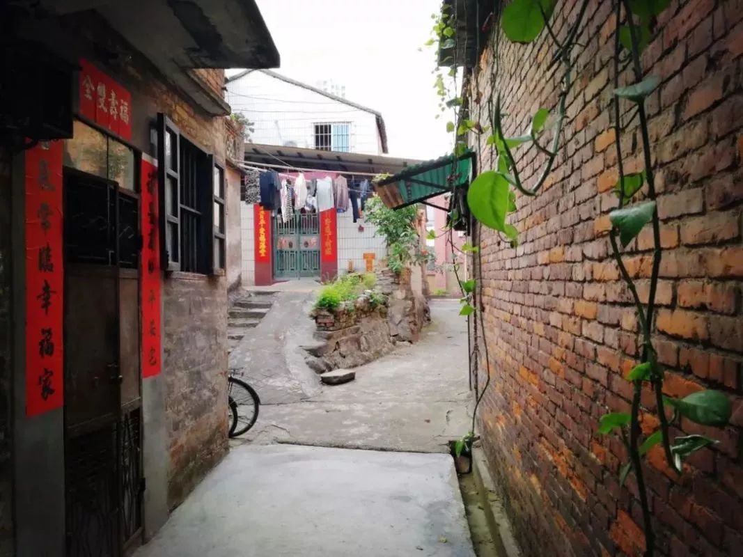 不再水浸、拐角见绿…藏在这里的旧时光与烟火气，更加绚丽
