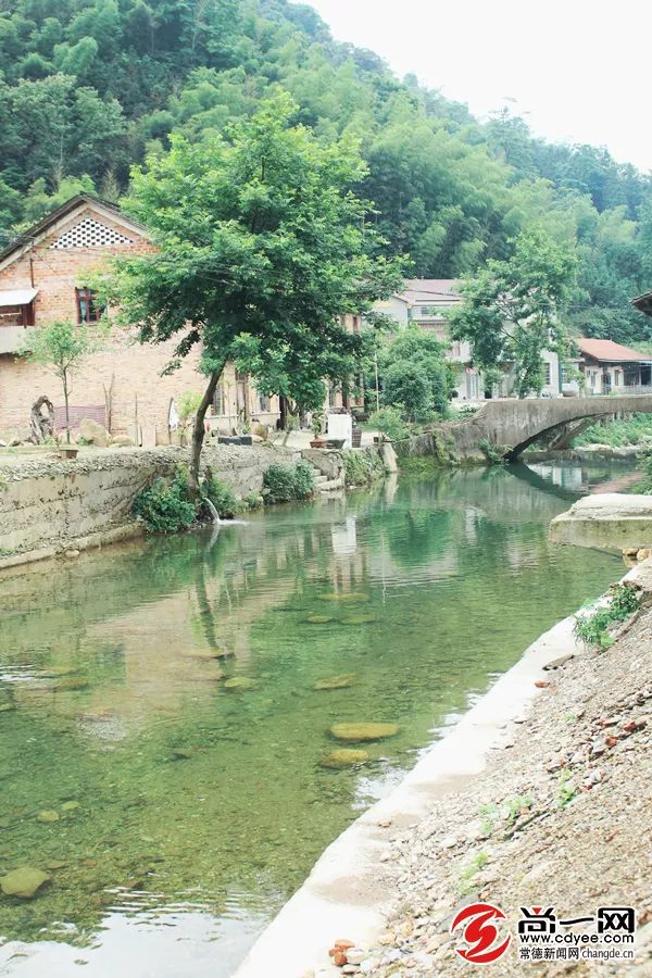 天然氧吧打卡！常德这个公园竟藏着宫崎骏的夏天，美到窒息...