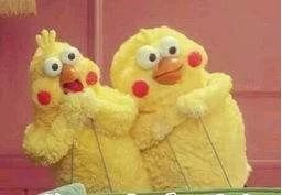 这三种情况别轻易买保险,为什么不建议你轻易配置保险