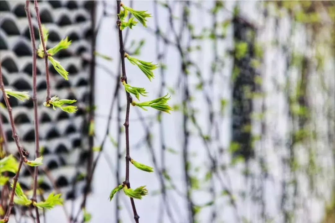 贵阳夏天气温最高多少,贵阳夏天最高气温是多少度