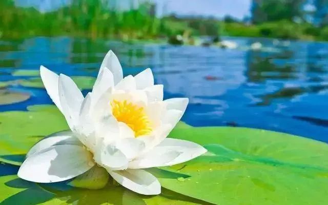 贵阳夏天气温最高多少,贵阳夏天最高气温是多少度