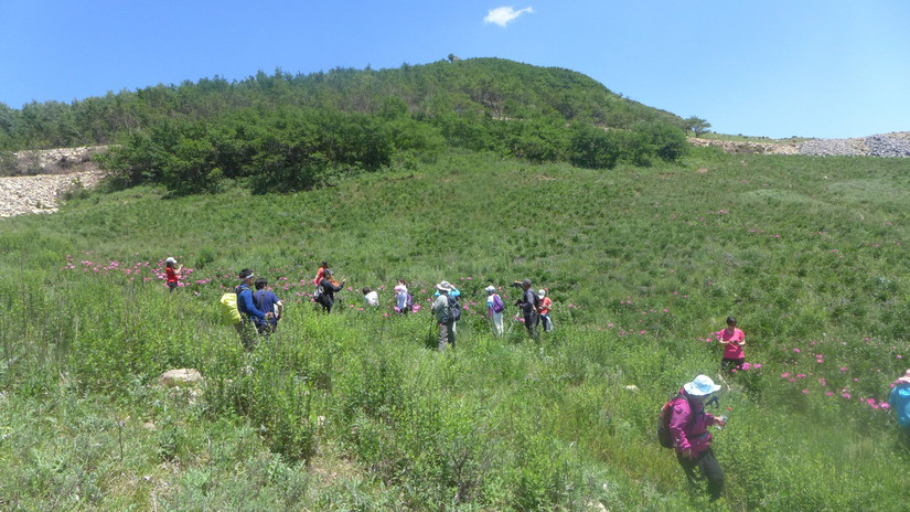 美丽芍药谷,云雾缭绕人间仙境芍药谷