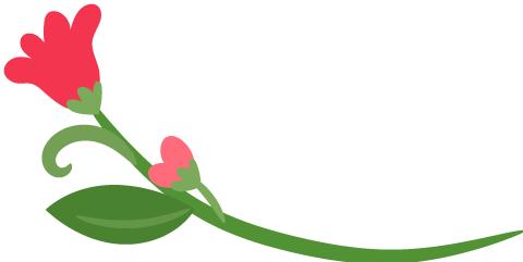 学生毕业档案怎么补办,毕业生档案如何补办