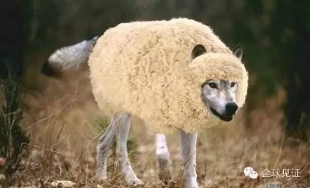 【识别*教邪**】怎样快速识别“全能神”*教邪**