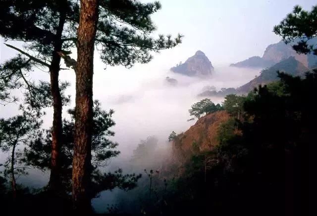 暑假就要来了你有什么想去的地方,你还在为暑假没有去处而烦恼吗