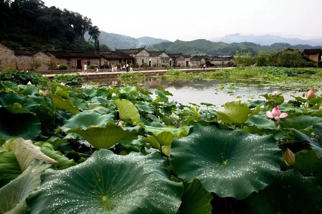 暑假就要来了你有什么想去的地方,你还在为暑假没有去处而烦恼吗