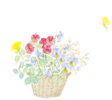 夜读余生顺其自然随遇而安,美文晨读每日一读人生哲理