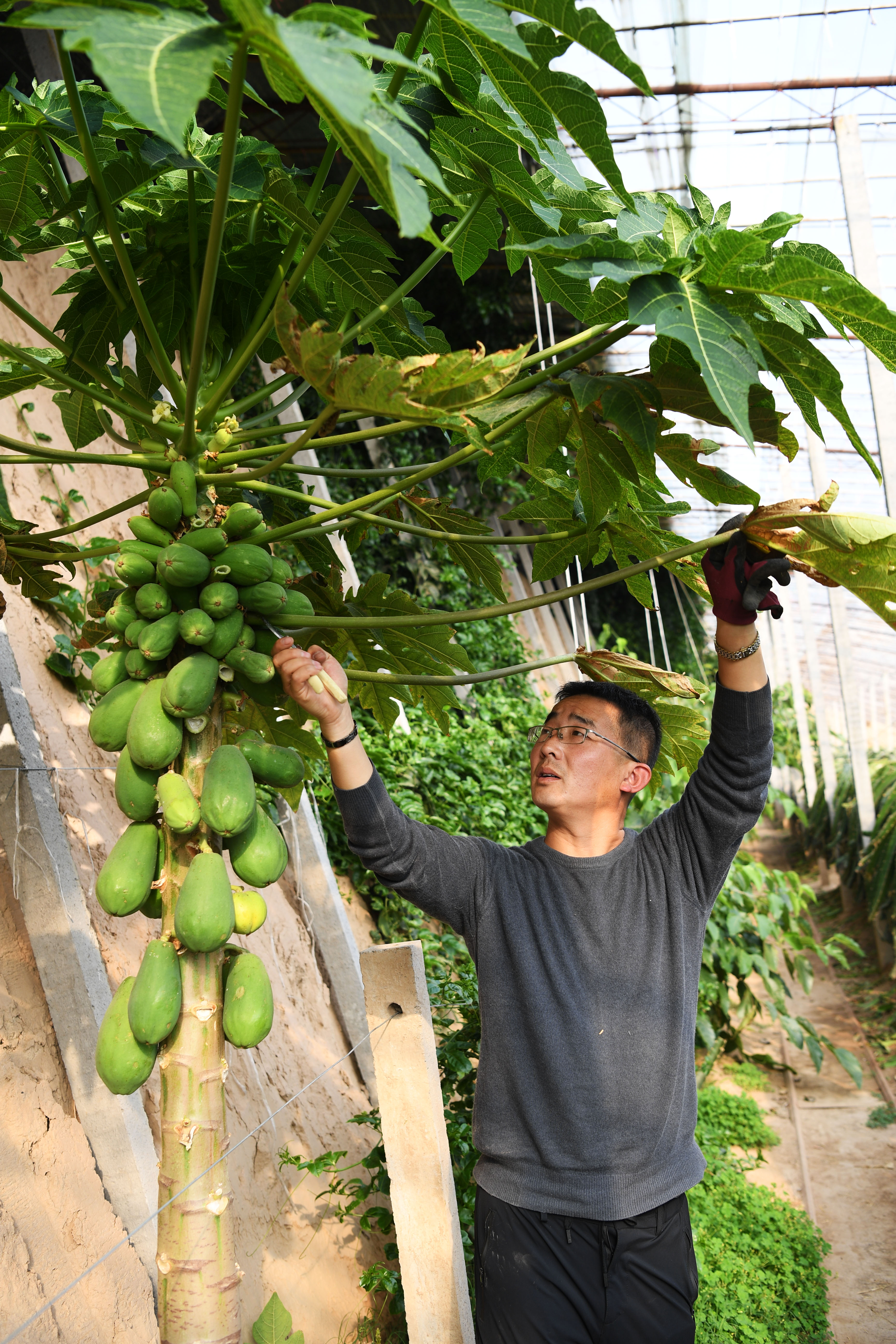 乡村振兴怎么让外出务工人员返乡,大学生返乡创业乡村振兴例子
