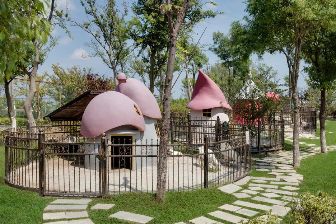 魔都新晋网红打卡地龙华会,魔都十六个网红打卡地方在哪