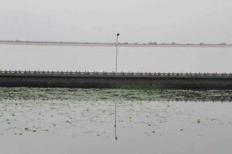 太阳升起在桑干河上,太阳照在了桑干河上朗读