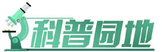 新能源生物质能,生物质能新能源