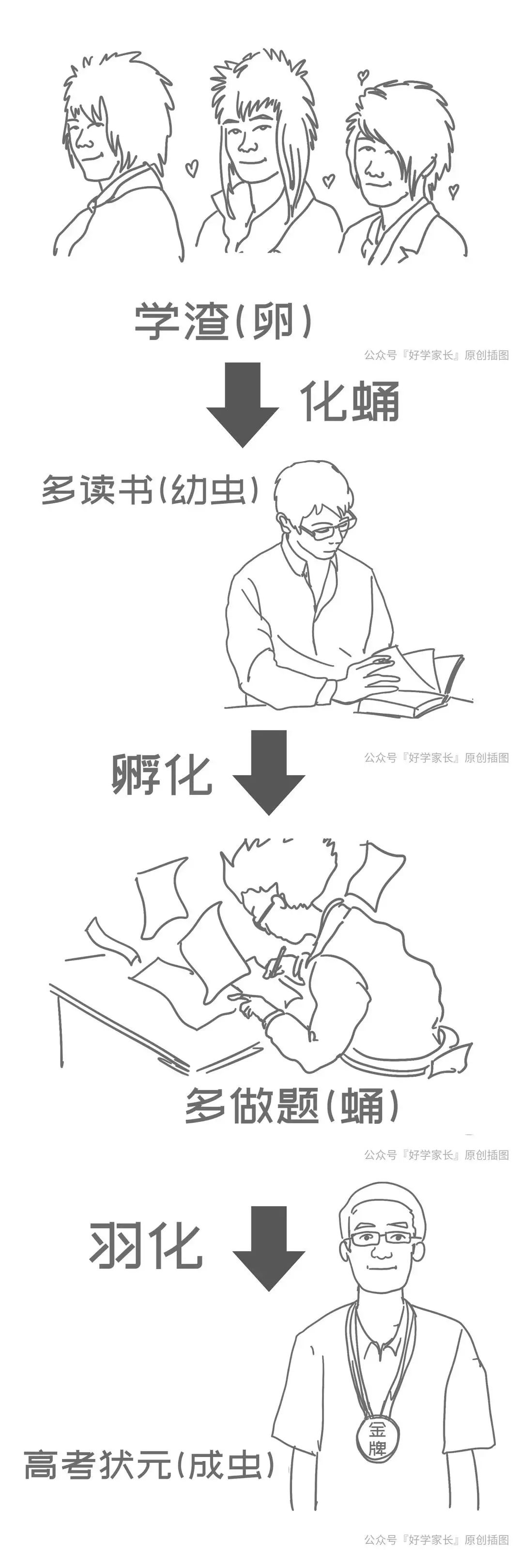 衡水中学逆袭,衡水中学打脸变笑话