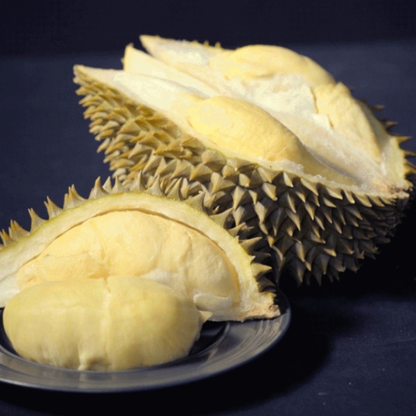 世界清洁地球日垃圾分类知识问答,垃圾分类小科普这些你都了解吗