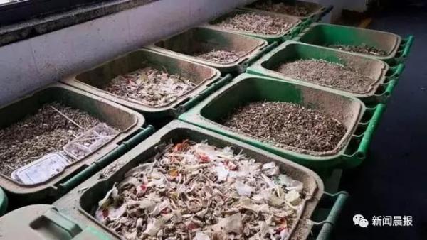 世界清洁地球日垃圾分类知识问答,垃圾分类小科普这些你都了解吗