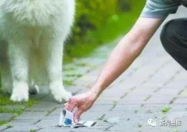 世界清洁地球日垃圾分类知识问答,垃圾分类小科普这些你都了解吗