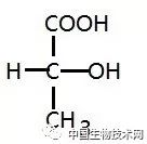 手性药物为什么分左右,怎么验证天然药物的手性