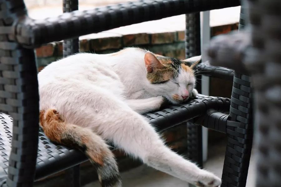 红专厂,红专厂现在的情况