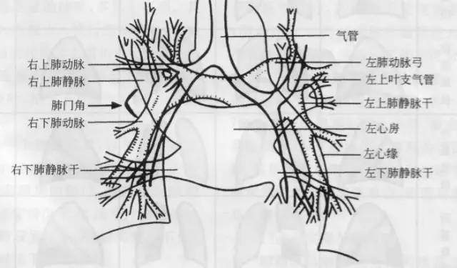 小学学霸学习方法大揭秘,小学学霸学习时间表