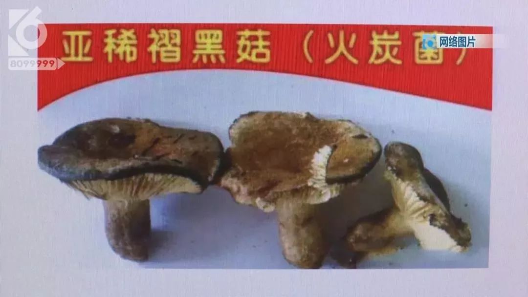 云南吃菌中毒分布图,云南吃菌中毒最新统计