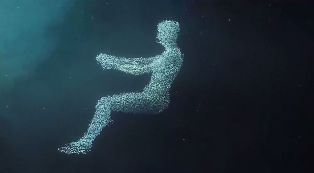 戛纳广告创意节,戛纳国际创意节户外奖