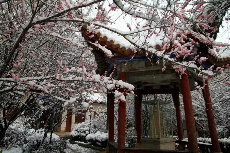 曲靖全国十大宜居城市第一,曲靖荣获多少次全国十大宜居城市