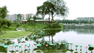 成都双流区旅游省钱攻略推荐,五一在双流适合去哪旅游