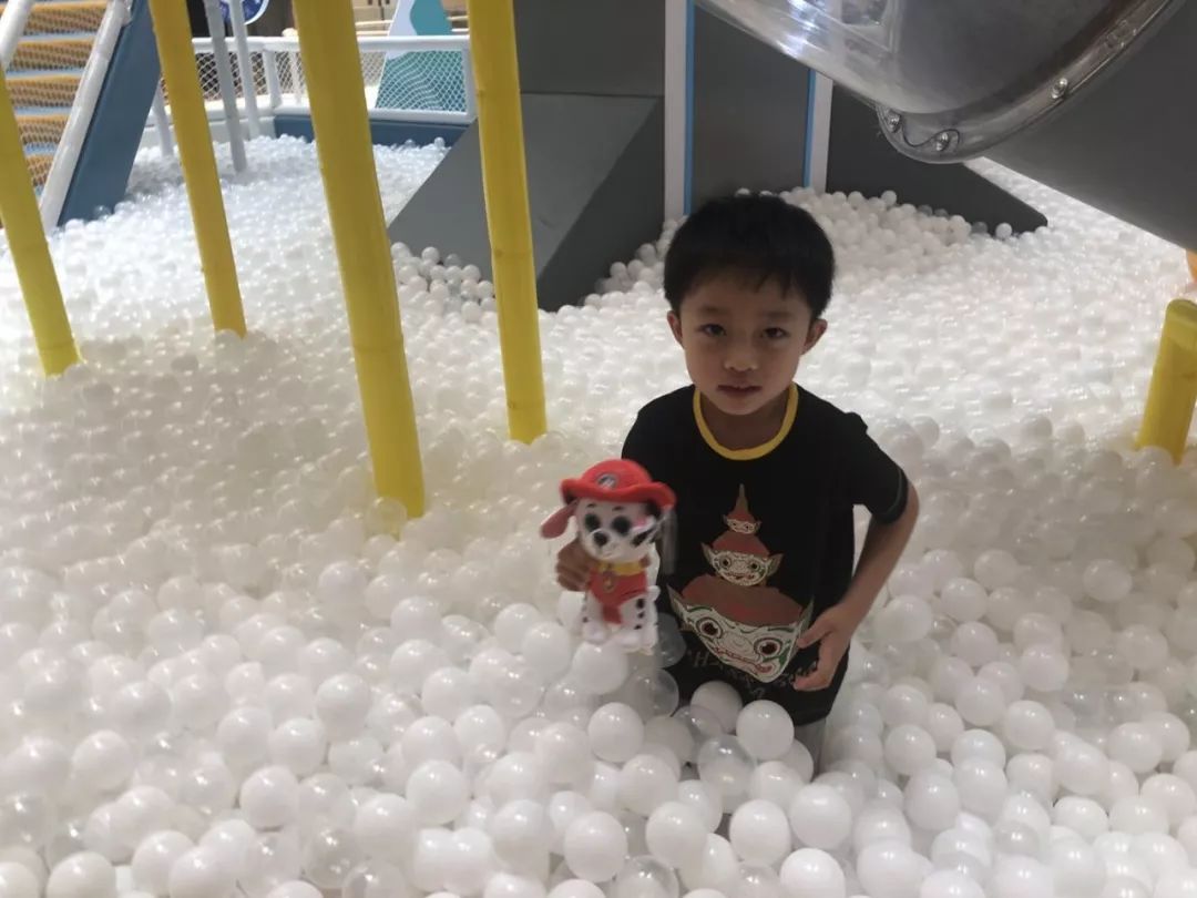 汪汪队冬日奇幻秀,汪汪队奇幻冰雪节