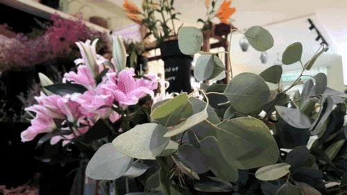 向水果捞势力低头！丹东这个夏天的甜蜜指数++++++++++