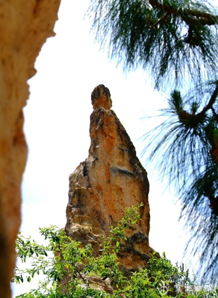 陆良农场打卡网红景点,陆良网红打卡地风景