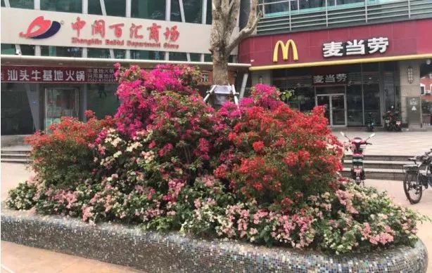 华丽升级,厦禾路哪一年改造