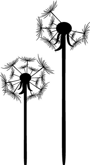 西瓜苗受肥害怎么解,西瓜重茬导致瓜农的损失谁负责