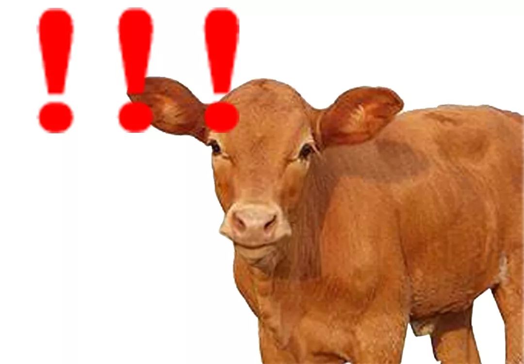 柴油车审车环保新标准,很多柴油车环保检测不过怎么办