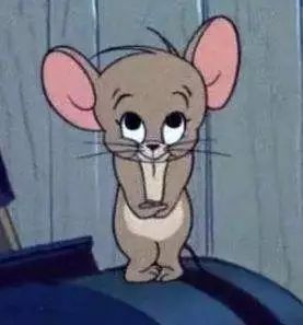 广东东莞篮球队招聘工作人员,2019篮球世界杯东莞赛区志愿者