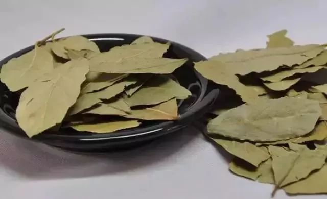 米虫最怕三样东西,怎么防止米虫到处爬