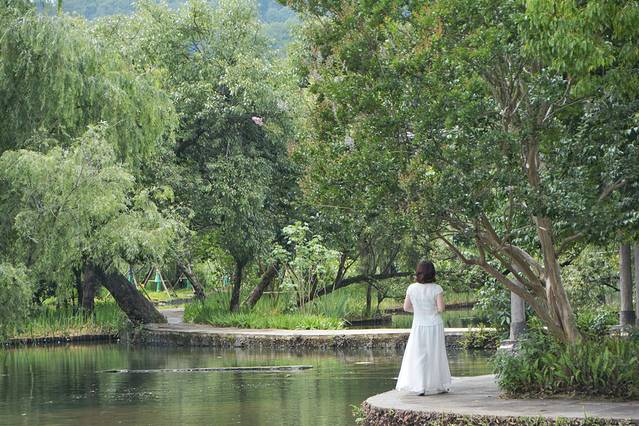 鑵惧啿鐑捣鏅尯鍏崄宀佸厤绁ㄥ悧,浜戝崡鑵惧啿鐑捣鍏洯鏅浠嬬粛