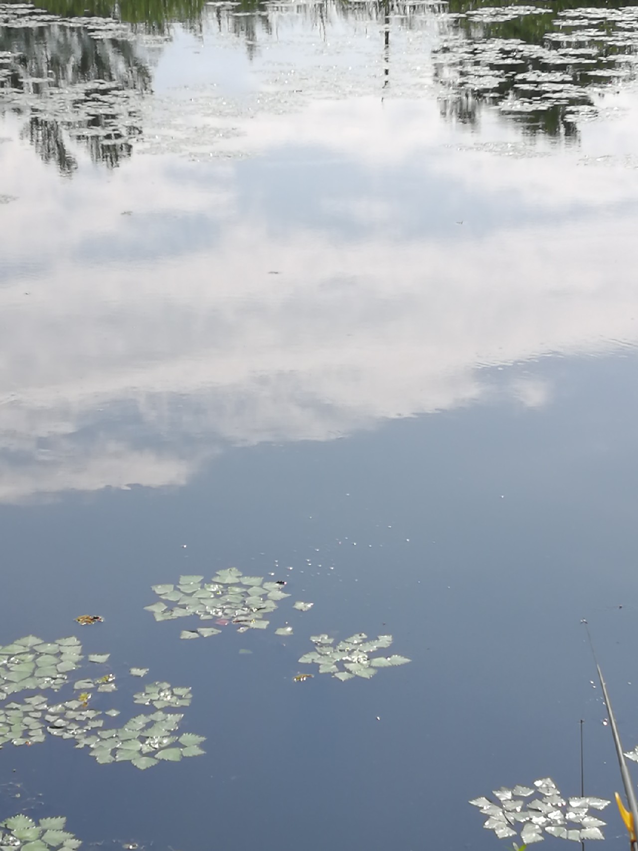 头顶烈阳开拓钓位逐泡寻鲫放流可怜鱼获