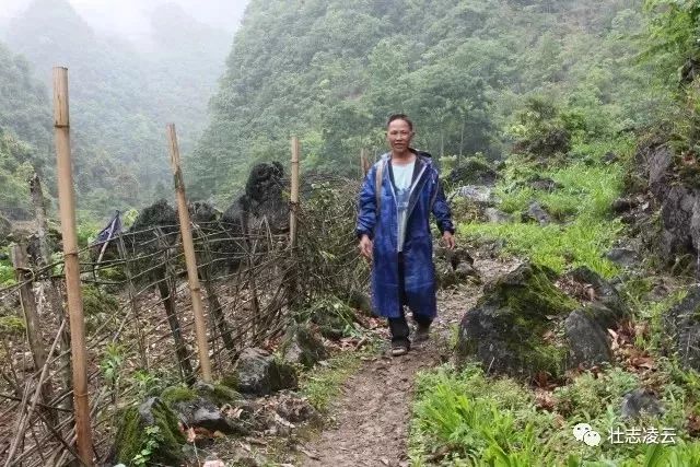 种桑养蚕致富带头人,从贫困户到百万富翁的逆袭